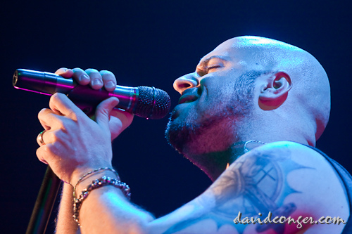 Daughtry