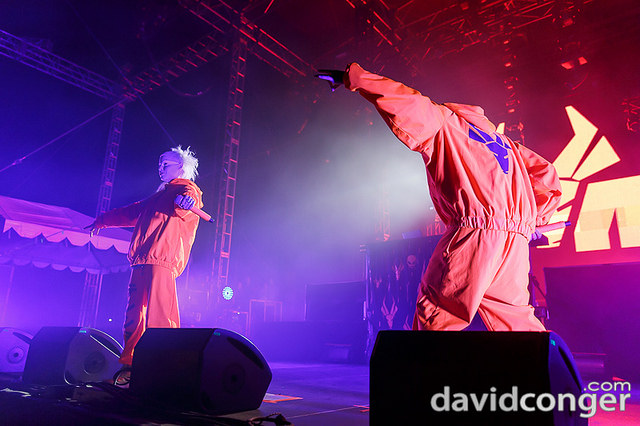 Die Antwoord