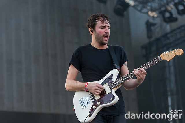 Foals