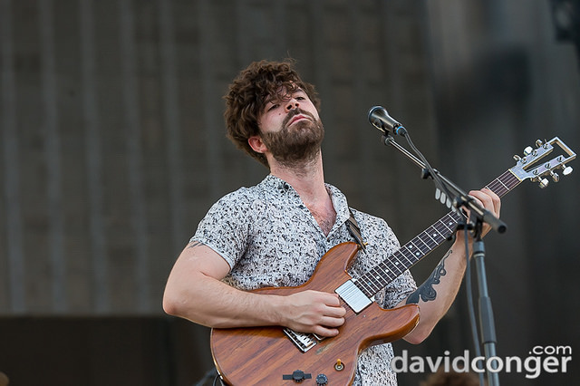Foals