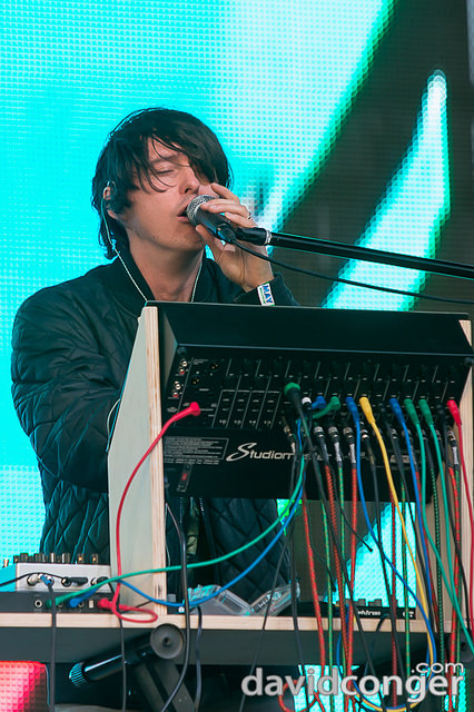 Panda Bear