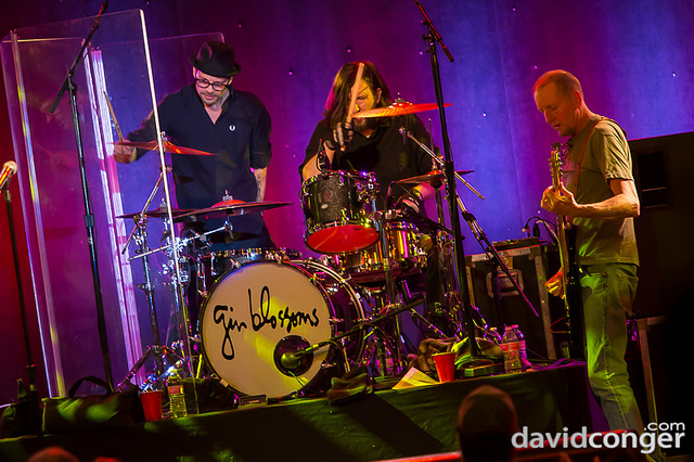 Gin Blossoms