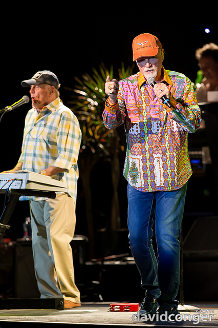 The Beach Boys
