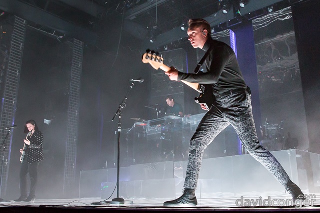 The XX