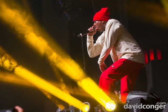 YG